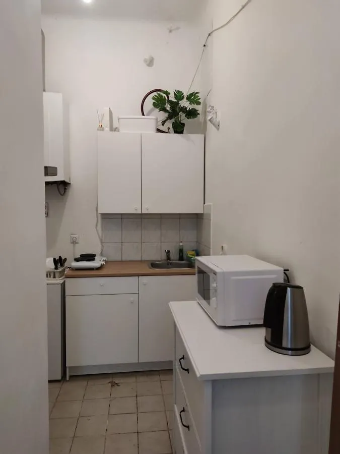 Room With Privat Shower In 3 Rooms Apartment Vienna Bed & Breakfast