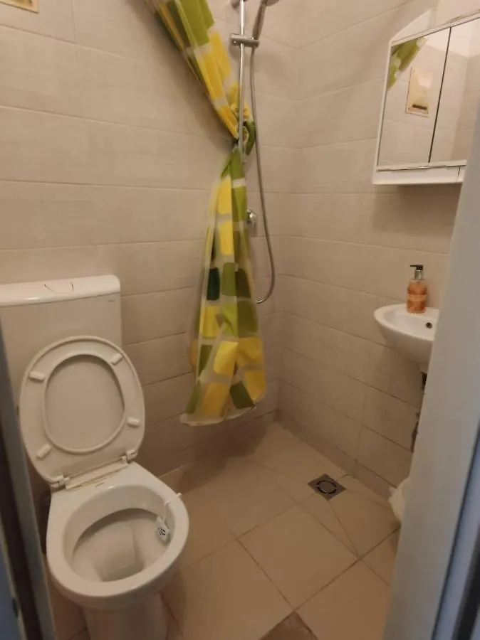 Room With Privat Shower In 3 Rooms Apartment Vienna 0*,  Austria